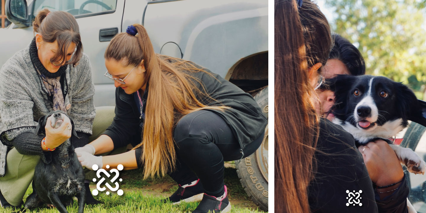 Vacunación antirrábica