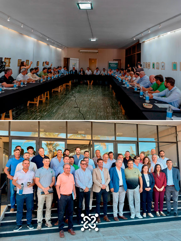 fiesta-de-la-alfalfa-san-basilio-4